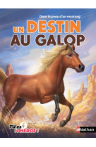 Dans la peau d'un mustang - un destin au galop