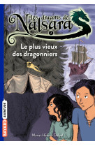 Les dragons de nalsara, tome 02