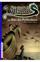 Les dragons de nalsara, tome 05