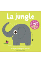 La jungle - des sons a ecouter, des images a regarder