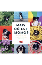 Mais ou est momo ? - un livre ou l-on cherche son chien