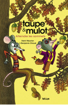 Taupe et mulot 7 - atteindre les sommets