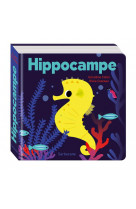 Hippocampe