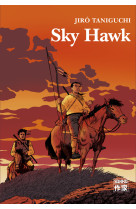 Sky hawk