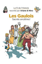 Le fil de l'histoire raconté par ariane & nino - les gaulois