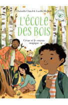 Ecole des bois - césar et le crayon magique