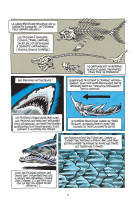 Requins