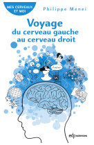 Cerveau droit, cerveau gauche