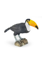 Toucan