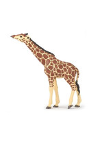 Girafe tete levee