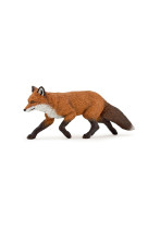 Renard