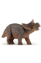 Jeune triceratops