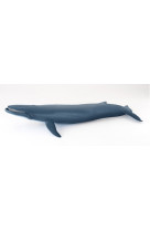 Baleine bleue