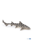 Requin leopard