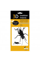 3d paper model - insecte - criquet