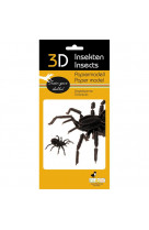 3d paper model - insecte - tarentule