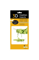 3d paper model - insecte - sauterelle