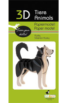 3d paper model - animal - husky siberien