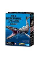 4m - kif de fouille - mosasaurus