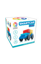 Smart car mini