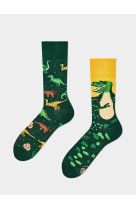 Chaussettes the dinosaurs 43/46