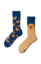 Chaussettes golden boy 35-38