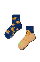 Chaussettes golden boy kids 31-34