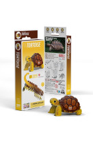 Eugy 3d animal sauvage tortue