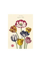 Poster tulipes - 29