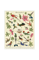 Puzzle 1000 pcs - colibris