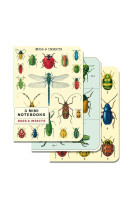 Carnet cavallini insectes mini