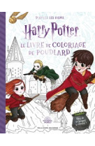 Harry potter : noël à poudlard