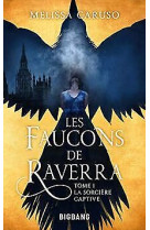 Les faucons de raverra, t1 : la sorcière captive