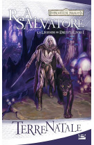 Les royaumes oublies - la legende de drizzt tome 1 : terre natale