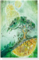 Livre d-or arbre sans age - 18.5x23 cm