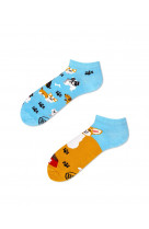 Chaussettes playful dog low 43-46