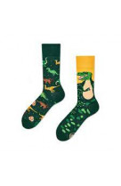 Chaussettes the dinosaurs 39-42