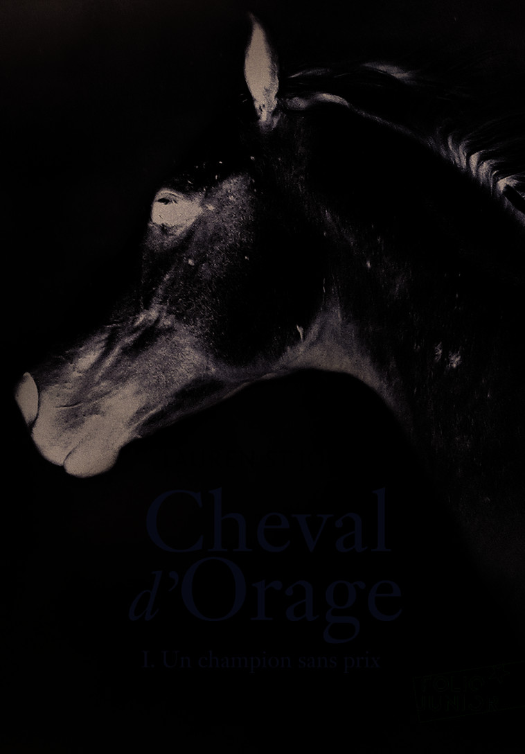 CHEVAL D-ORAGE - VOL01 - UN CHAMPION SANS PRIX - Lauren St John, Alice Marchand - GALLIMARD JEUNE