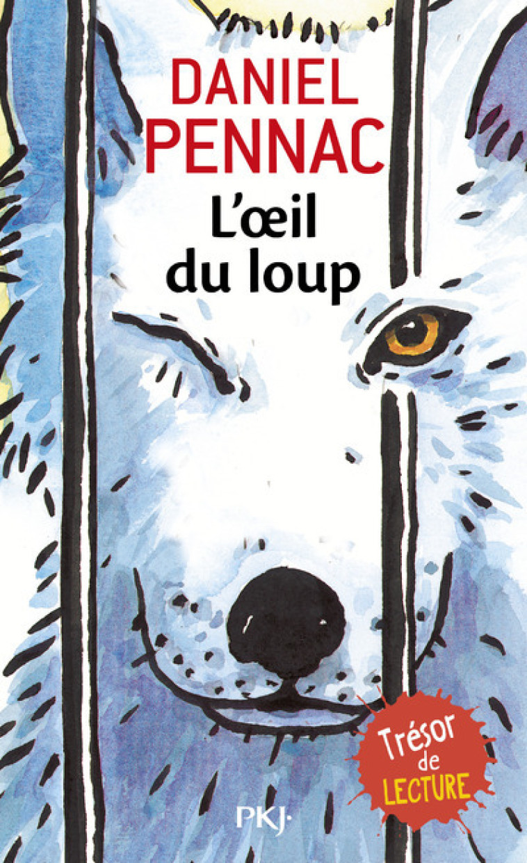 L-OEIL DU LOUP - Daniel Pennac - POCKET JEUNESSE