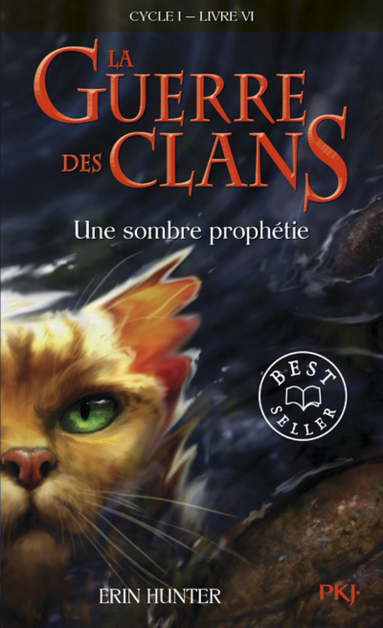 LA GUERRE DES CLANS - CYCLE I - TOME 6 UNE SOMBRE PROPHETIE -POCHE- - VOL06 - Erin Hunter, Aude Carlier - POCKET JEUNESSE