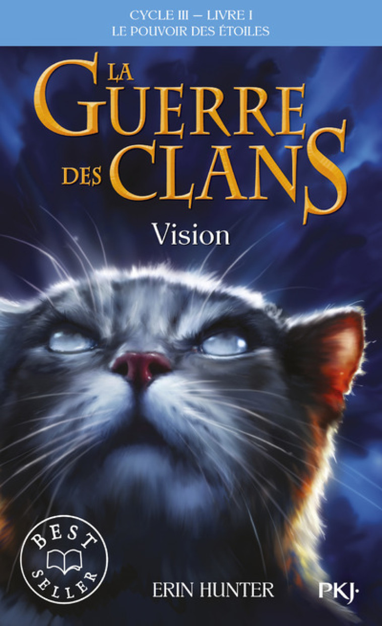 La guerre des Clans cycle III Le pouvoir des étoiles - tome 1 vision - Erin Hunter, Aude Carlier - POCKET JEUNESSE