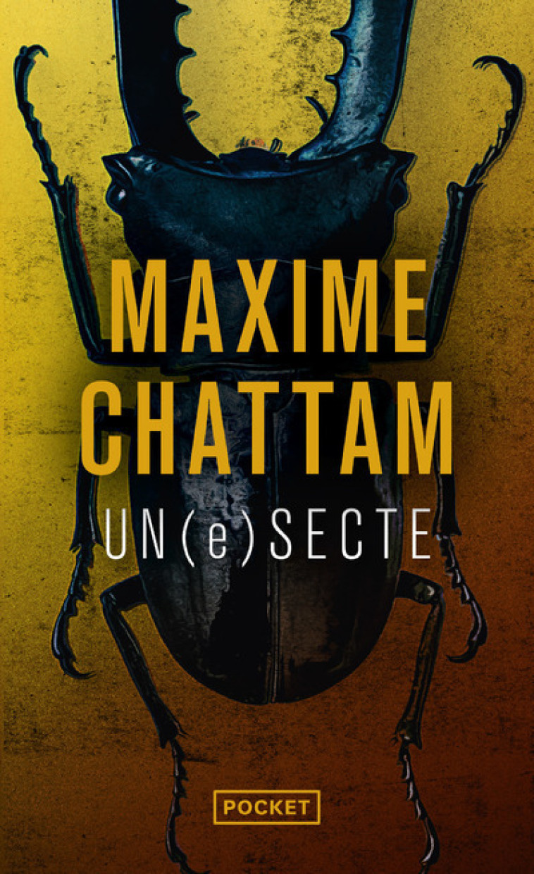 UN(E) SECTE - Maxime Chattam - POCKET