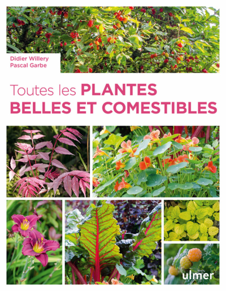 TOUTES LES PLANTES BELLES ET COMESTIBLES - Pascal Garbe, Didier Willery - ULMER