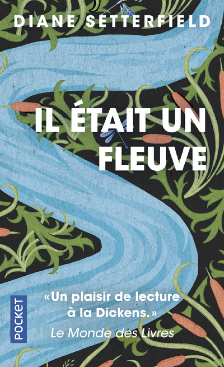 IL ETAIT UN FLEUVE - Diane Setterfield, Carine Chichereau - POCKET