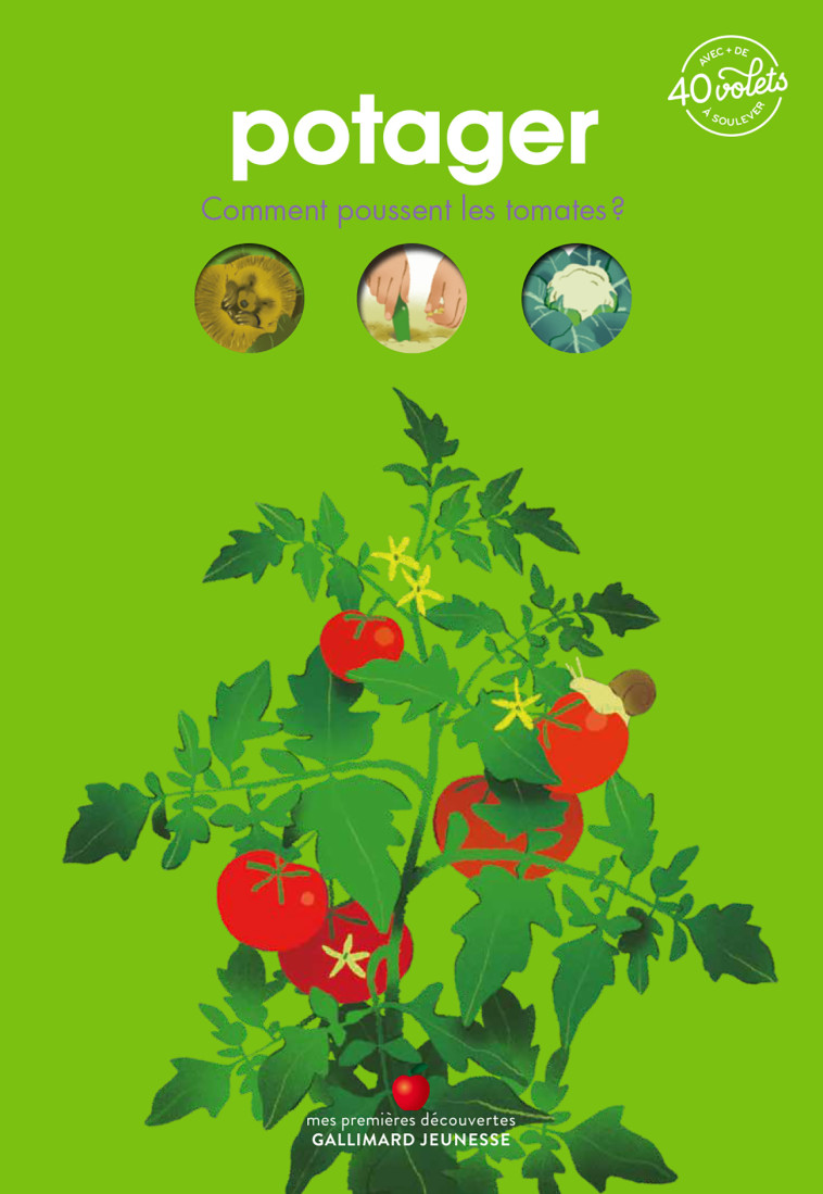 POTAGER - COMMENT POUSSENT LES TOMATES ? - Sophie Lamoureux, Annette Marnat, Sophie Lamoureux, Annette Marnat - GALLIMARD JEUNE