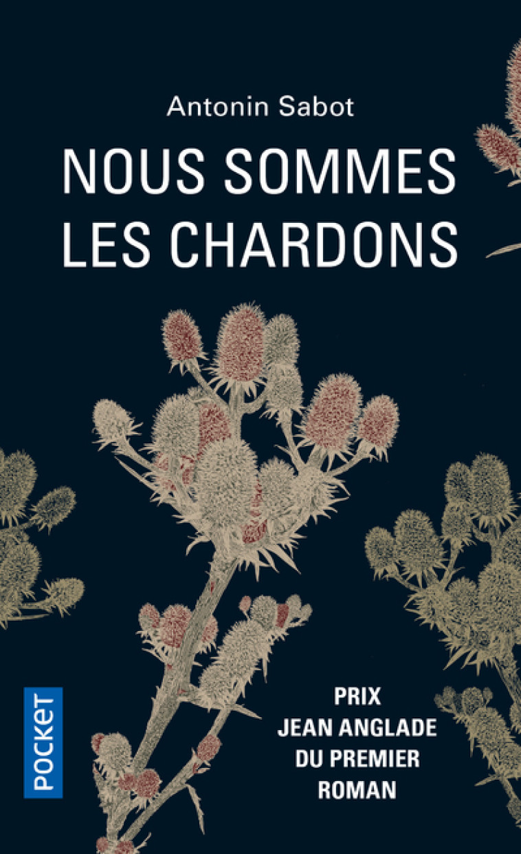 NOUS SOMMES LES CHARDONS - Antonin Sabot - POCKET