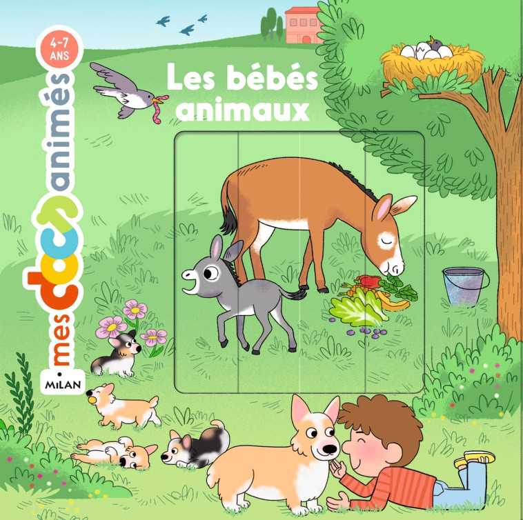 LES BEBES ANIMAUX - Anne Morel Anne Morel, Clara Soriano - MILAN