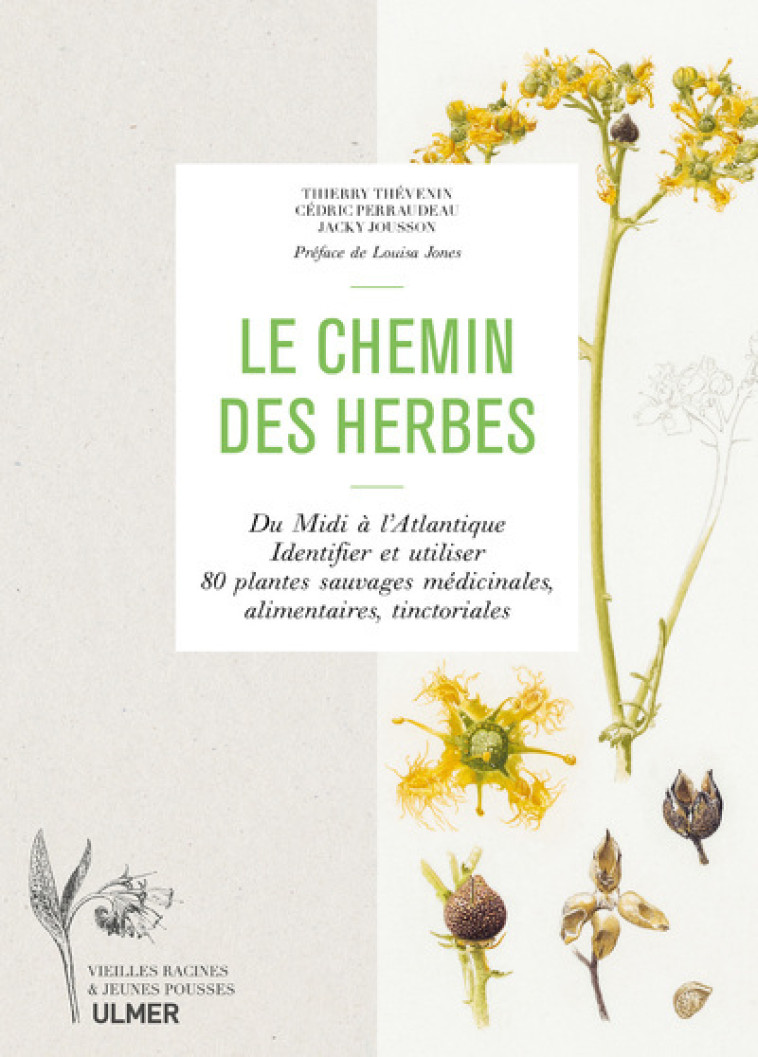 LE CHEMIN DES HERBES - DU MIDI A L-ATLANTIQUE : IDENTIFIER ET UTILISER 80 PLANTES SAUVAGES MEDICINAL - Thierry Thévenin, Cédric Perraudeau, Jacky Jousson, Louisa Jones - ULMER