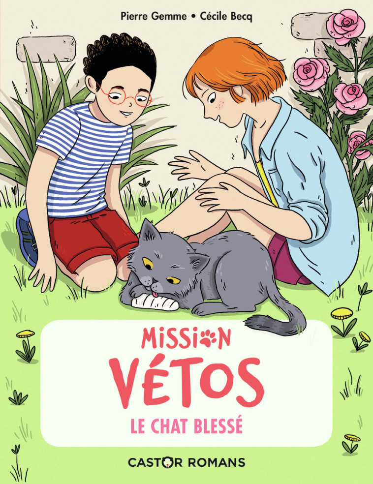 MISSION VETOS - T05 - LE CHAT BLESSE - Pierre Gemme, Cécile Becq - PERE CASTOR