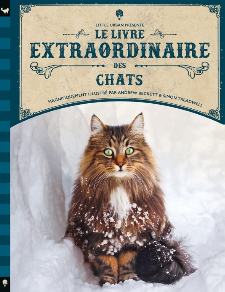 Le Livre extraordinaire des chats - Taylor Barbara Taylor Barbara, Beckett Andrew Beckett Andrew, Treadwell Simon Treadwell Simon - LITTLE URBAN